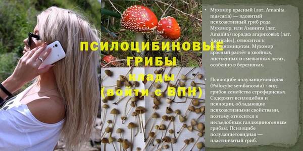 мескалин Нефтекумск