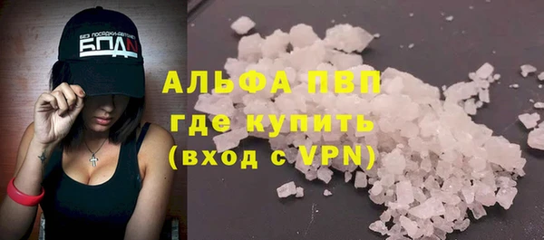 прущие грибы Нефтегорск