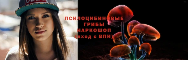 прущие грибы Нефтегорск