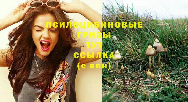 прущие грибы Нефтегорск
