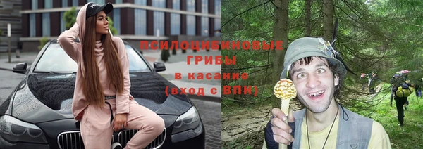 прущие грибы Нефтегорск