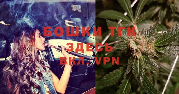 прущие грибы Нефтегорск